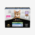 ProPlan_Senior_cat_food