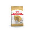 ROYAL CANIN BHN Jack Russell Adult 3 kg