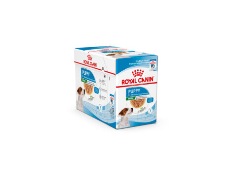 ROYAL CANIN SHN Mini Puppy 12x85 g