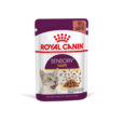 ROYAL CANIN FHN Sensory Taste Gravy 12x85g