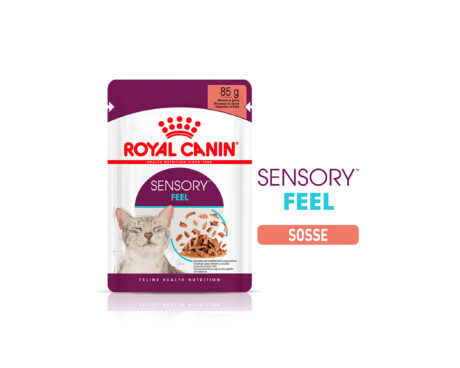 ROYAL CANIN FHN Sensory Feel Gravy 12x85g