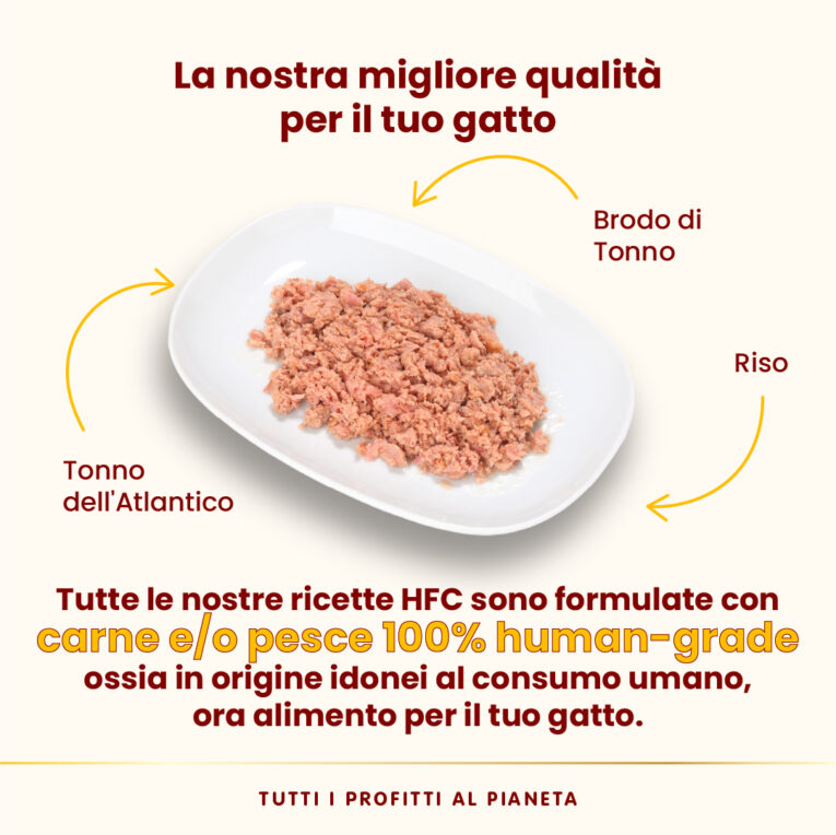 highly-appetizing-atlantic-tuna-5873_4